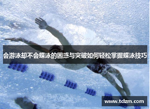 会游泳却不会蝶泳的困惑与突破如何轻松掌握蝶泳技巧
